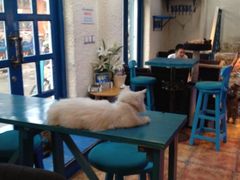 iphone_upload_pic-Sirena海妖日咖夜酒