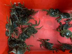 -阳澄湖大闸蟹·琼灵阁牌品牌连锁(吴中总店)