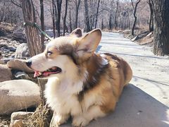 -玉渡山自然风景区