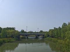 -贡湖湾湿地公园
