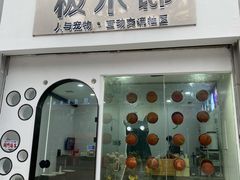 -极木²邸 人与宠物·互动社区