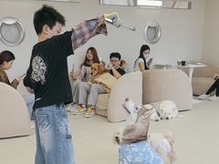 -怪兽屋·羊驼·猫咖·狗咖(俊华广场店)