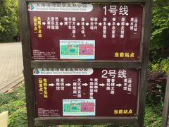 -上海海湾国家森林公园