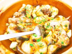 石锅焗北江回头鱼-潮喜竹溪荔湖酒家(荔枝湾店)