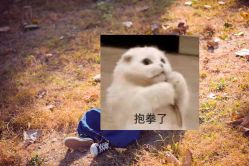 -芒果树国际儿童摄影(月亮河店)