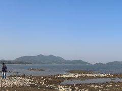 -四明湖