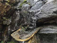 -黑龙潭风景区