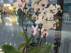 -康师傅私房牛肉面(申虹店)