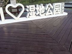 -宁波杭州湾国家湿地公园