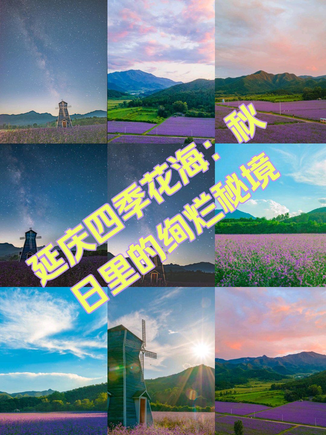 延庆四季花海:秋日里的绚烂秘境