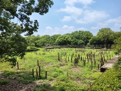 -河姆渡遗址博物馆