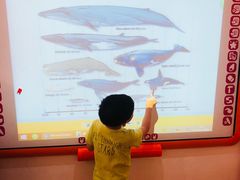 -卓悦童国际幼儿园