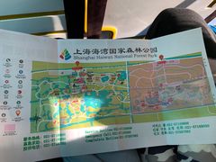 -上海海湾国家森林公园