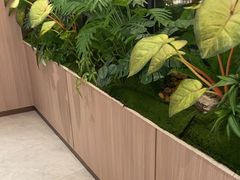 -海底捞火锅(高科广场店)