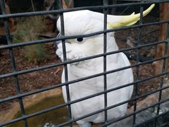 -费瑟代尔野生动物园