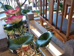 -荷塘秋月·本帮江浙菜(国权路店)