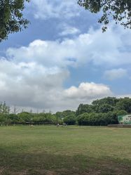 -长沙小顽国景区