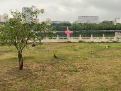 -莲花池公园