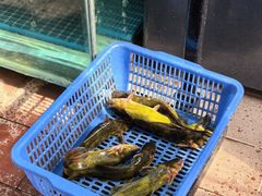 -大鹅岛灶台鱼·铁锅炖(水库路店)