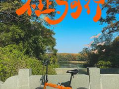 -茅家埠
