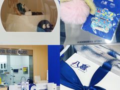 -八喜冰淇淋蛋糕(上海路万达店)