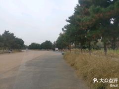 -汉长安城未央宫国家考古遗址公园