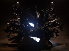 -乐山乌木文化博览苑