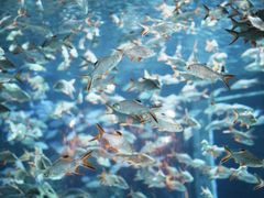 -成都浩海立方海洋公园