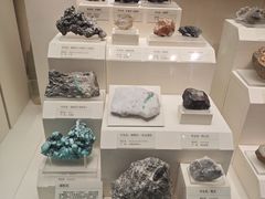 -天津自然博物馆