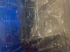 -有家酸菜鱼(张家港中骏世界城店)