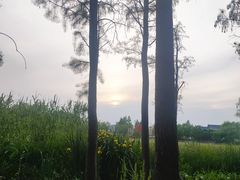 -云龙湖旅游景区