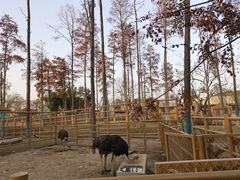 -武汉动物园