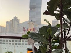 -润园四季椰子鸡火锅(海上世界店)