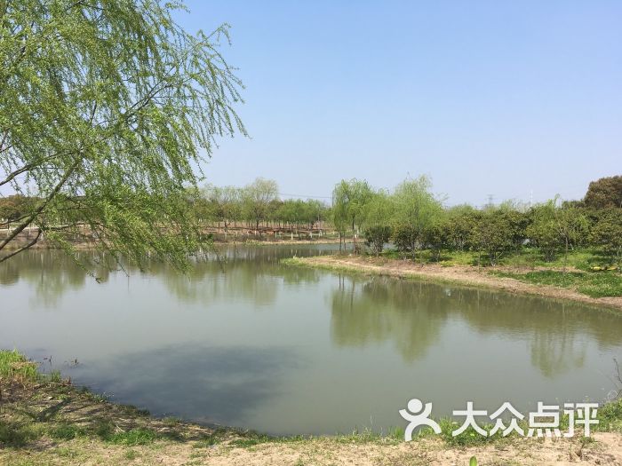 康桥生态园沔青绿地图片 - 第1张