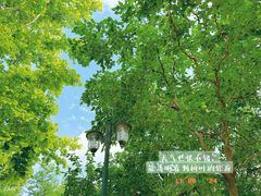 -天津五大道文化旅游区