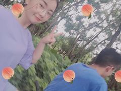 -大湾区中央湿地公园