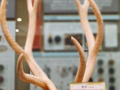 -北京中医药大学-中医药博物馆