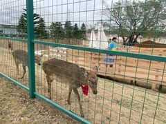 -盈香心动乐园