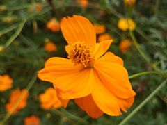 -白鹭湾湿地公园