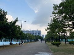 -顺德职业技术大学