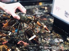 -盒马鲜生(皇庭广场店)