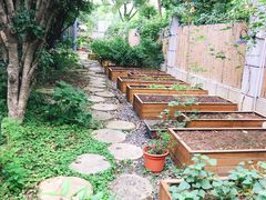 -谷咖啡·鲜花绿植花园餐厅