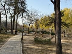 -元大都城垣遗址公园