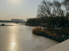 -大兴滨河森林公园