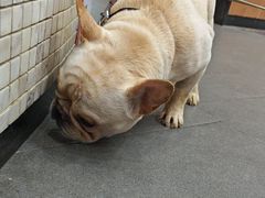 -联合动物医院(光谷诊疗中心)