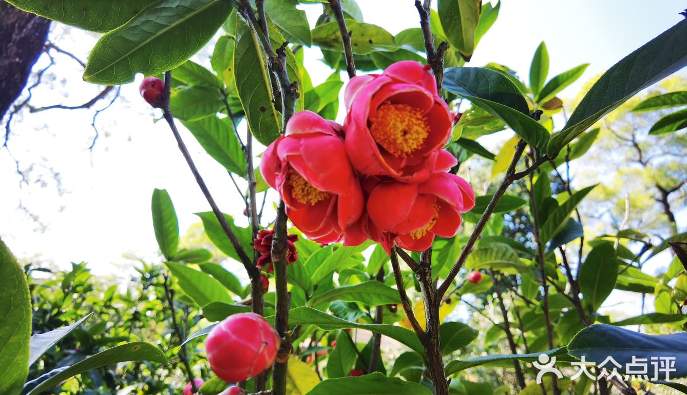 御花園位置就在正門入口右手邊