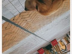 -首创奥特莱斯(西安店)