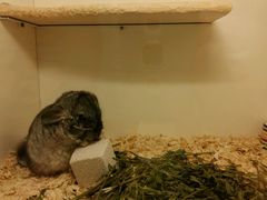 -龙猫仔乐园(惠福东路店)