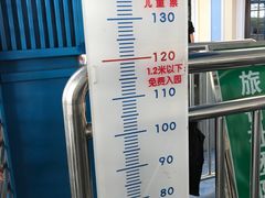 -芜湖新华联大白鲸海洋公园