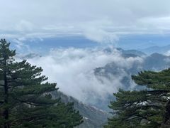-黄山风景区